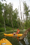 амазонка форинская