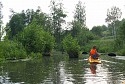 амазонские дебри в тульской области